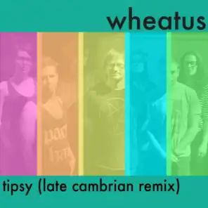 Tipsy (Late Cambrian Remix)