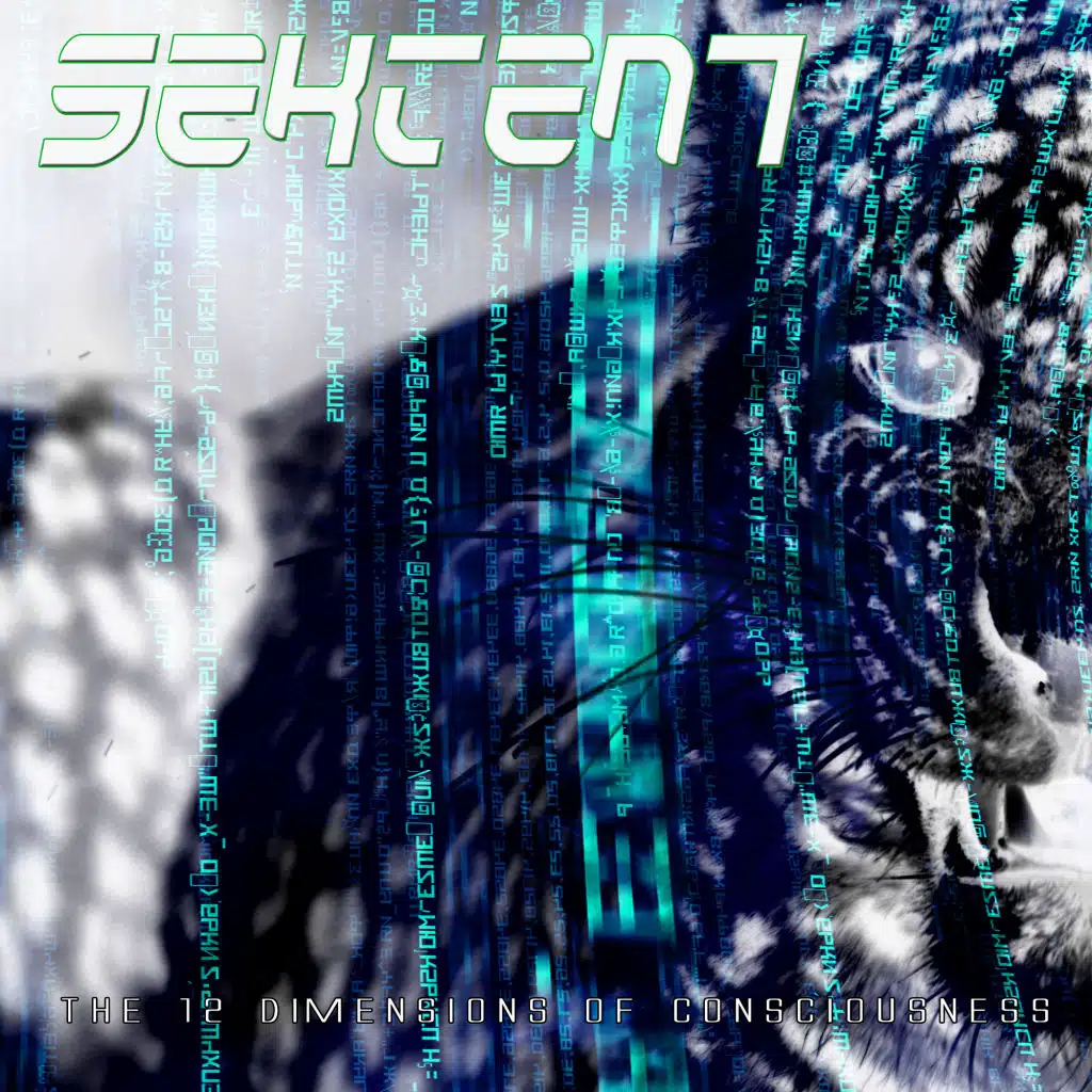 The 12 Dimensions of Consciousness (Edit)