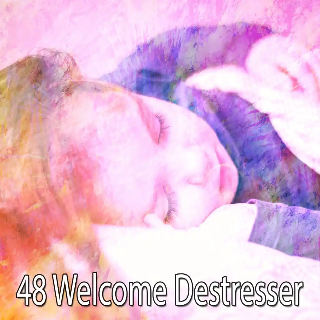 48 Welcome Destresser