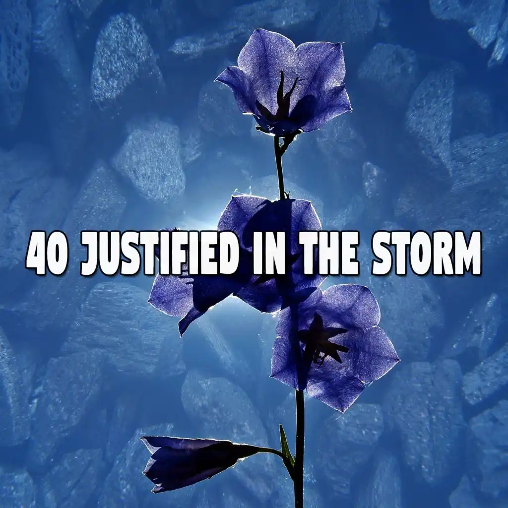 40 Justified in the Storm