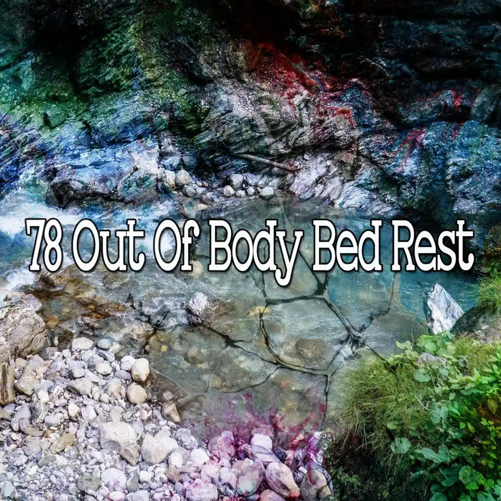 78 Out of Body Bed Rest