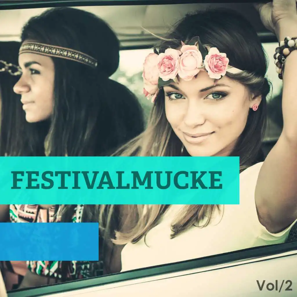Festivalmucke, Vol. 2 (25 Fine Selected Festival Tunes From All Around The World)