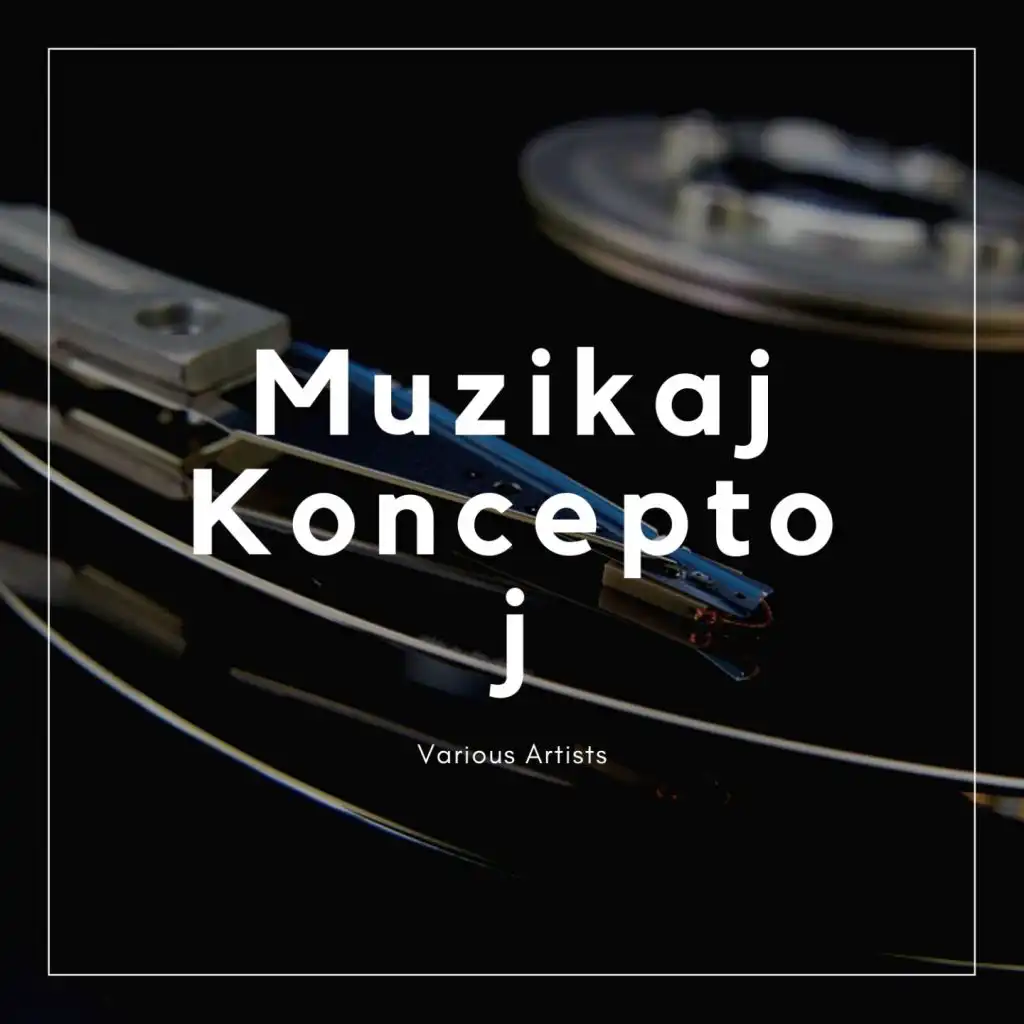 Muzikaj Konceptoj