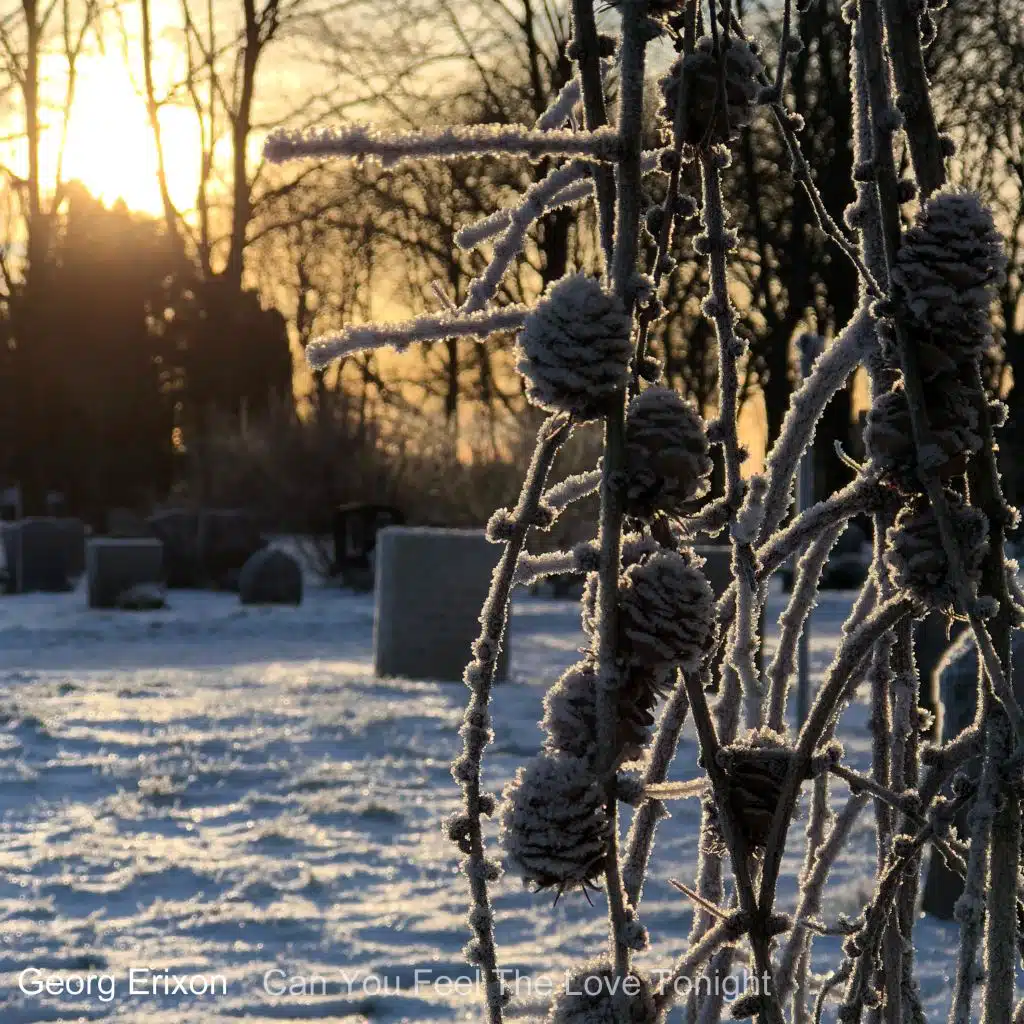 Can You Feel the Love Tonight