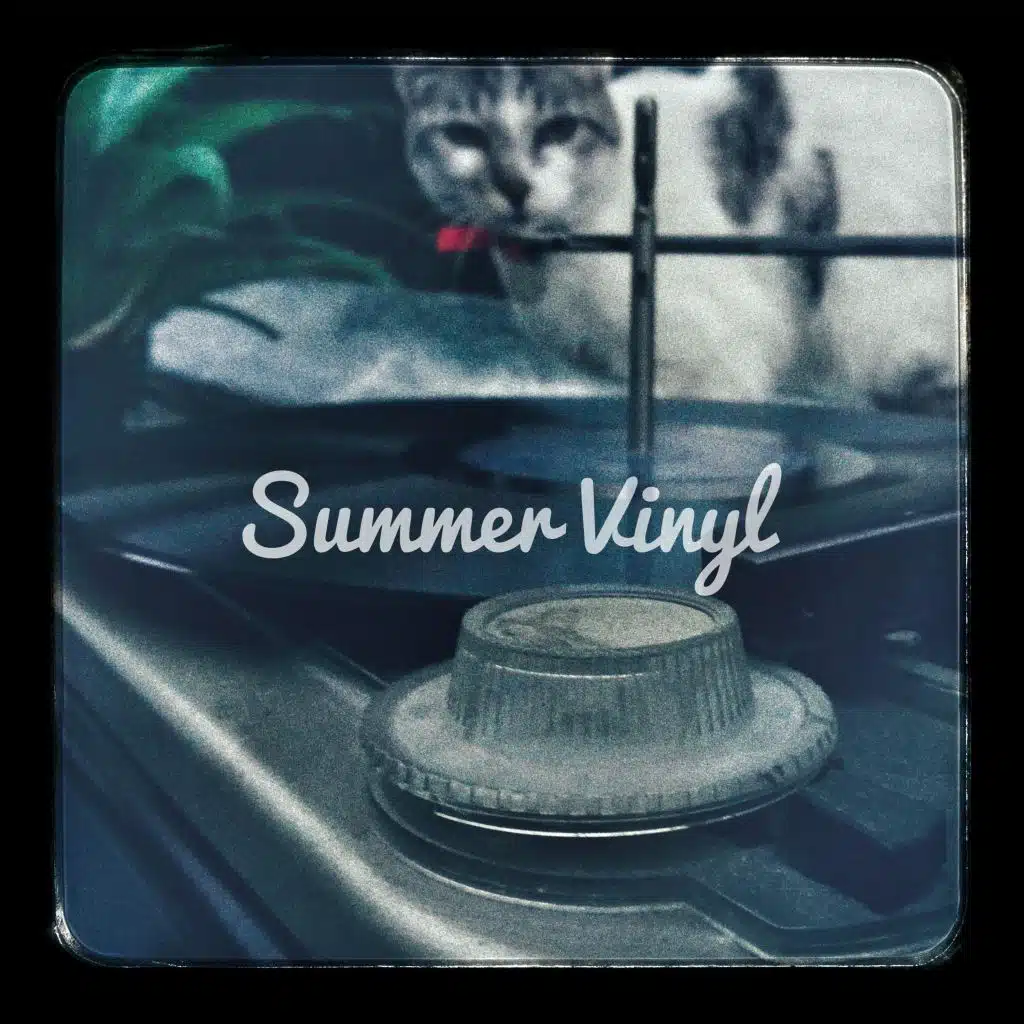 Summer Vinyl