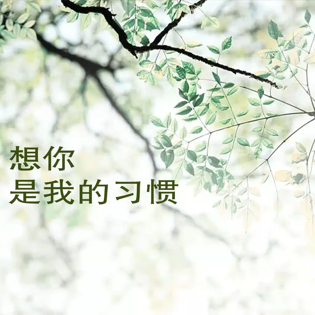 想你是我的习惯