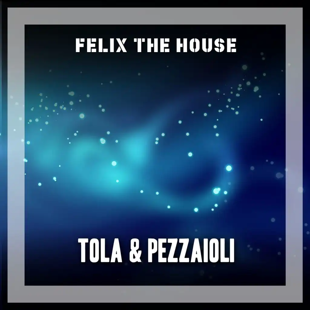 Felix The House