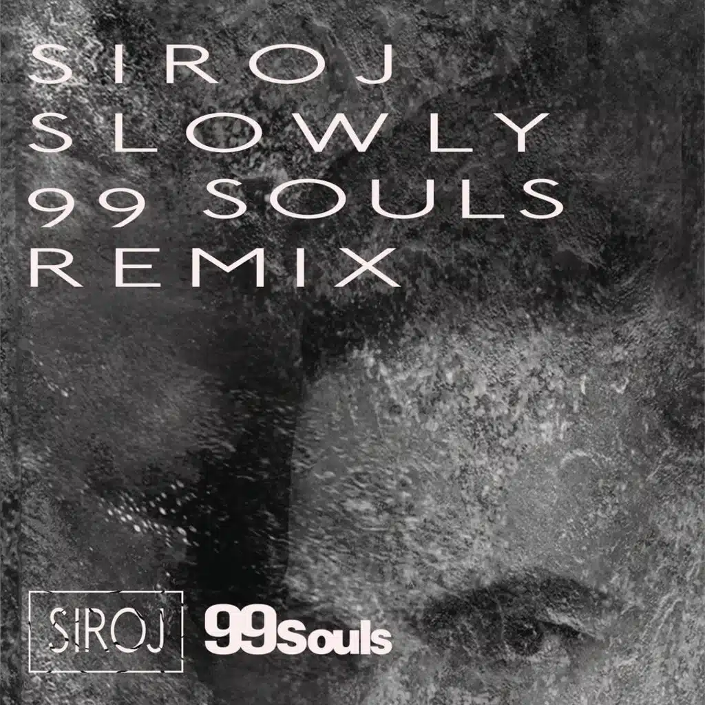 Slowly (99 Souls Remix [Radio Edit]) [feat. Ayden]