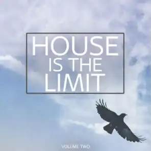 House is the Limit, Vol. 2