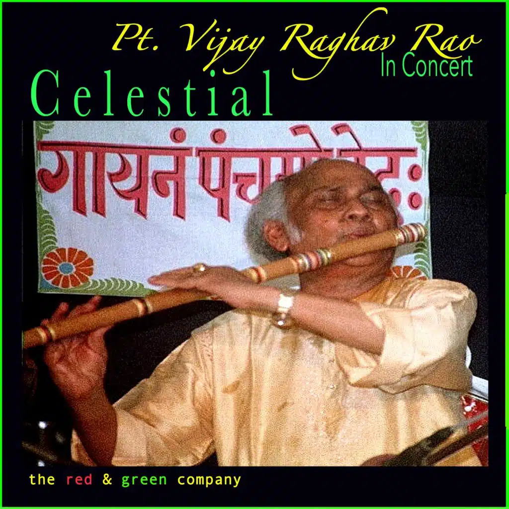 Celestial: Pt. Vijay Raghav Rao in Concert