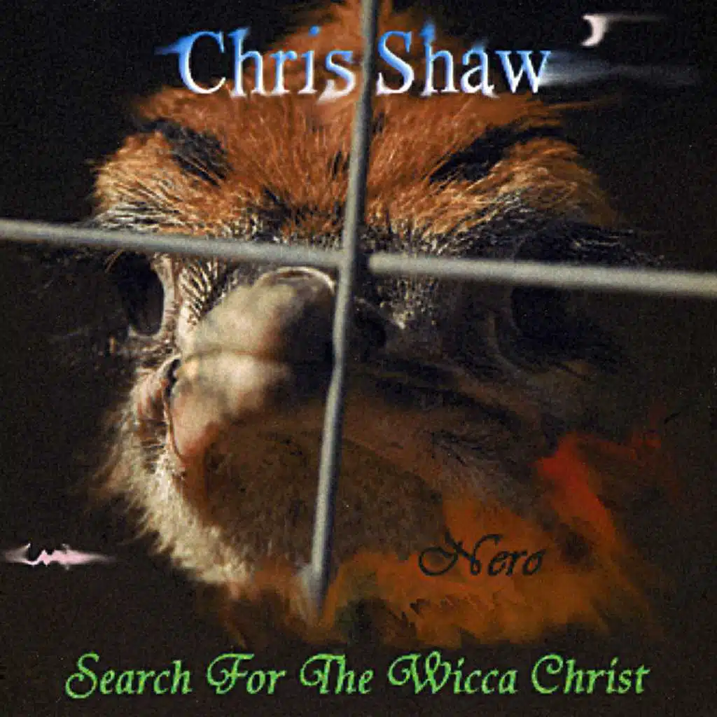 Ogmore Stepping Stones