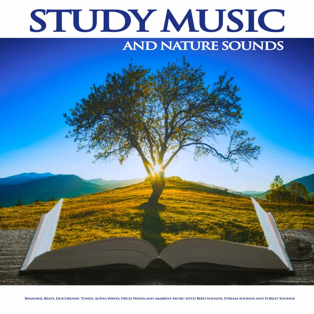Study Relaxation Music