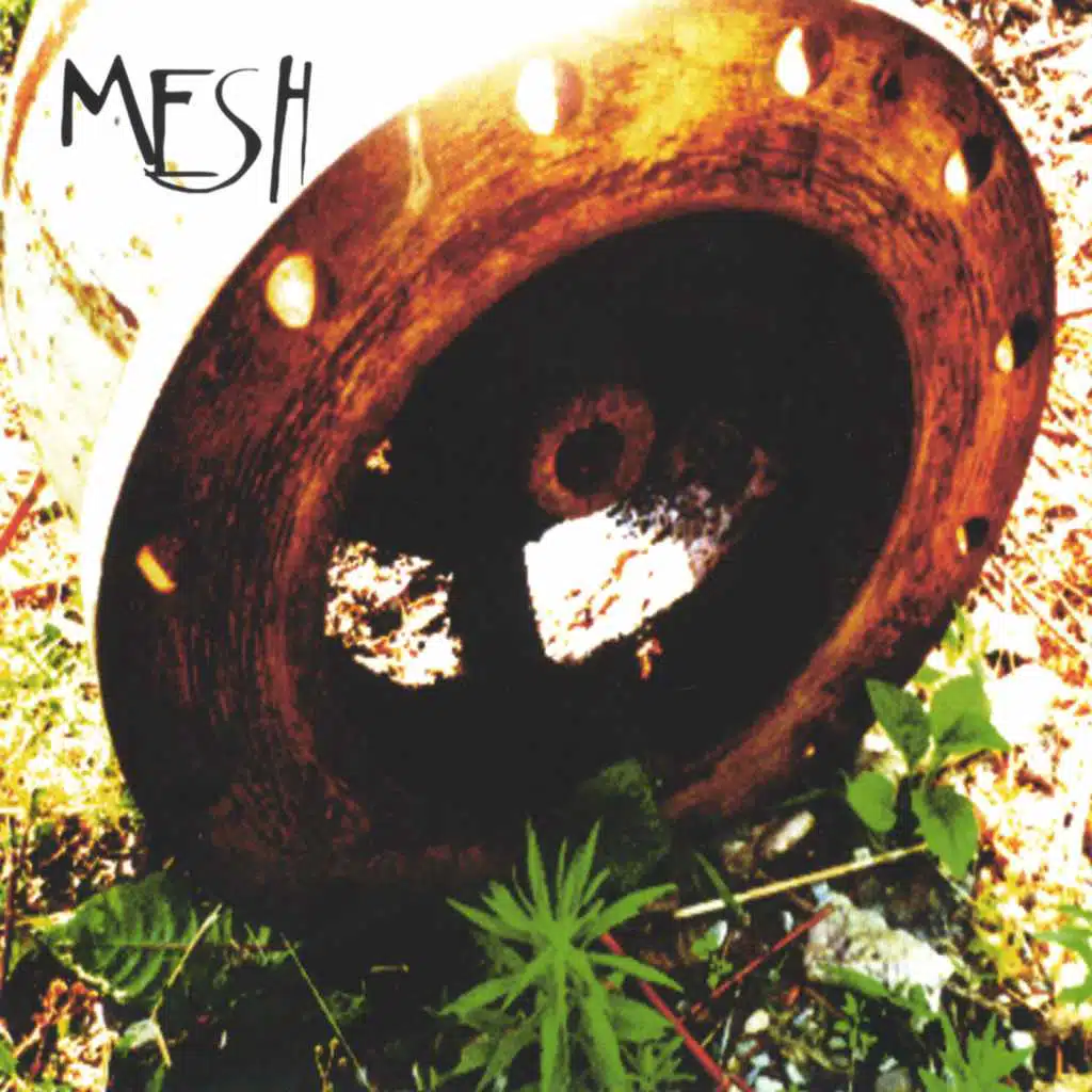 You've Got a Lot to Learn