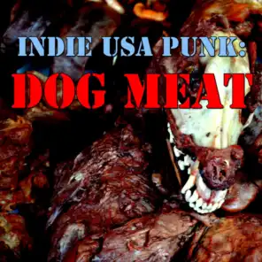 Indie USA Punk: Dog Meat