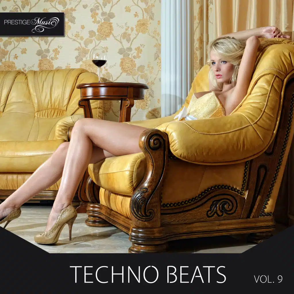 Techno Beats, Vol.9