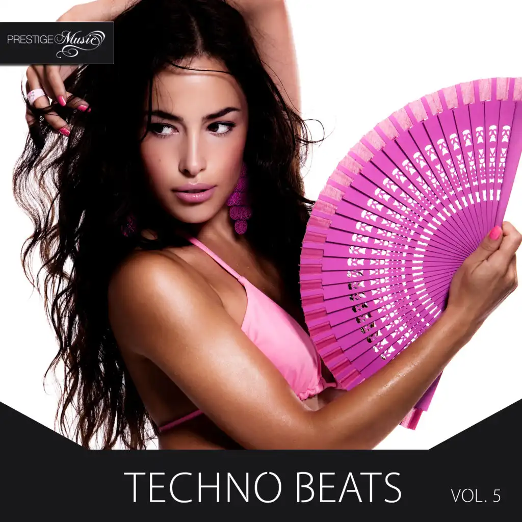 Techno Beats, Vol.5