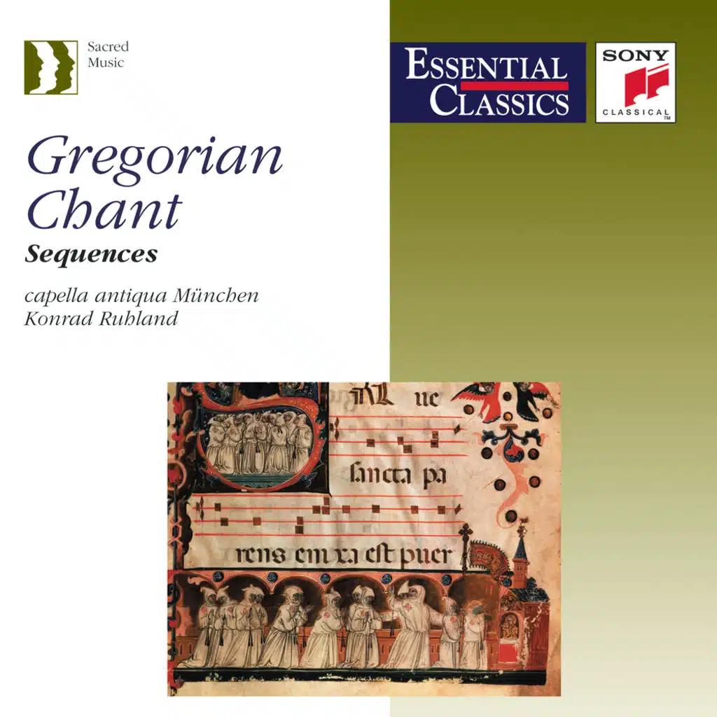 Gregorian Chant - Sequences