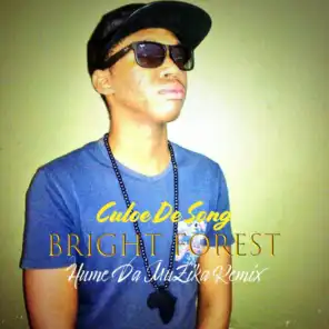 Bright Forest (Hume Da Muzika Remix)