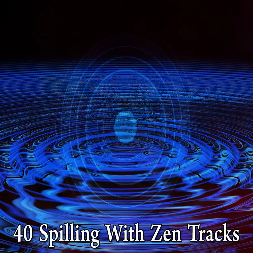 40 Spilling with Zen Tracks