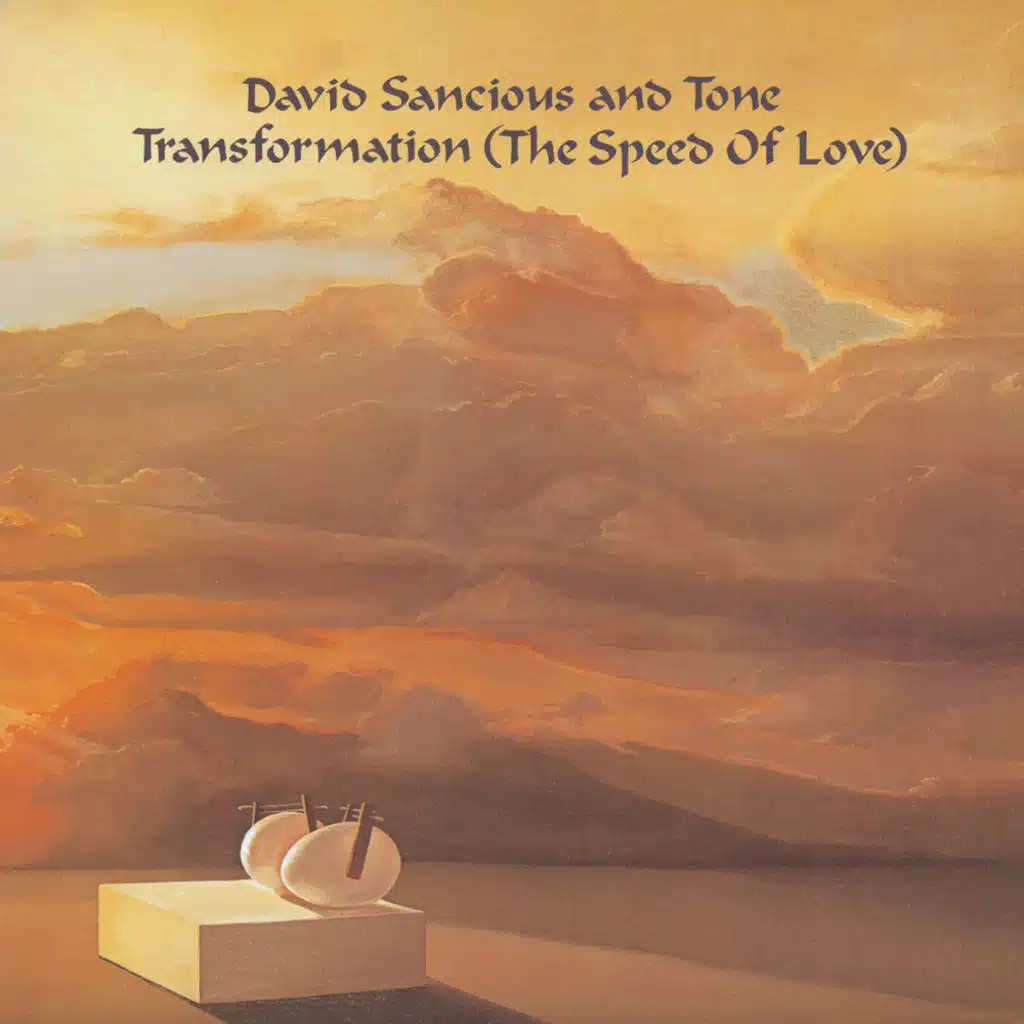 David Sancious & Tone