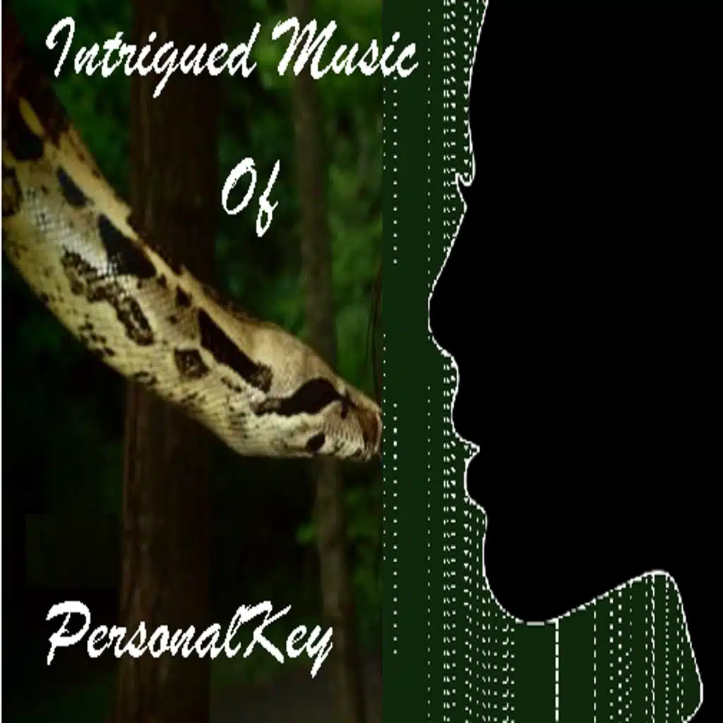 Intrigued Music Of PersonalKey