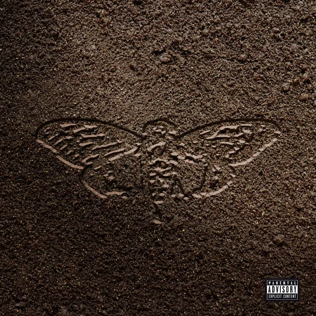 Cicada Underground