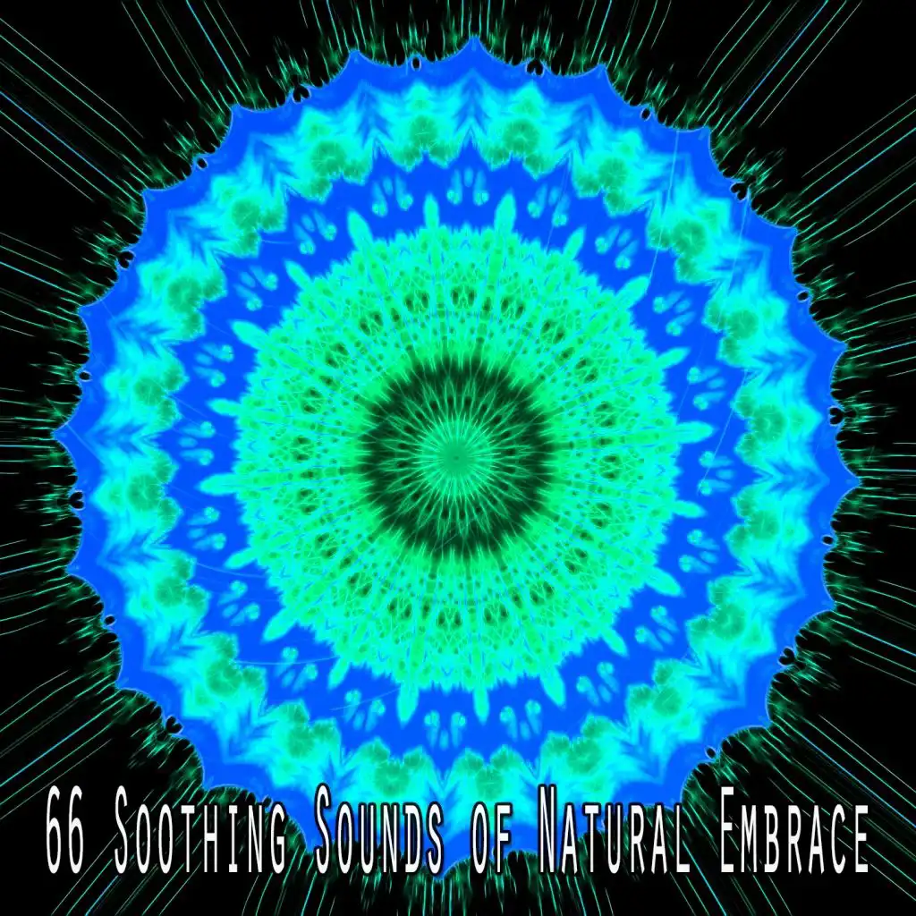 66 Soothing Sounds of Natural Embrace