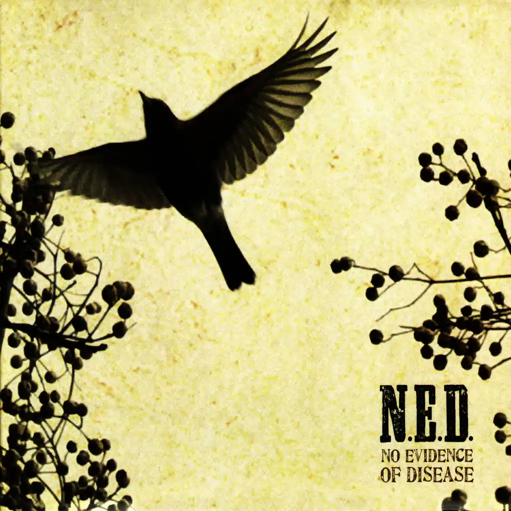 No Evidence of Disease