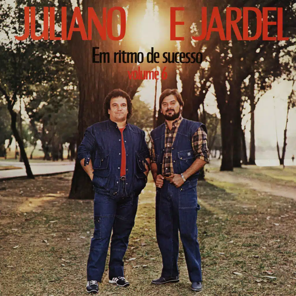 Em Ritmo de Sucesso, Vol. 6