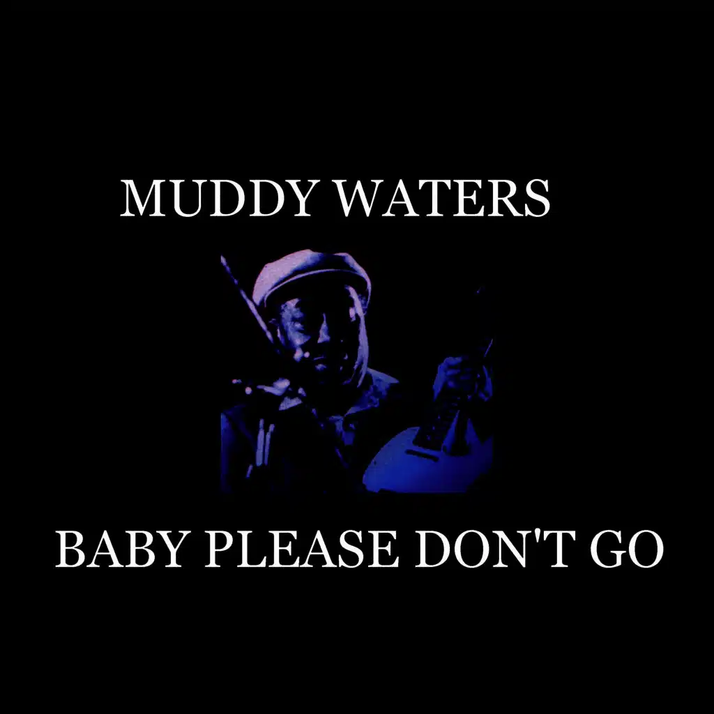 Baby Please Don't Go