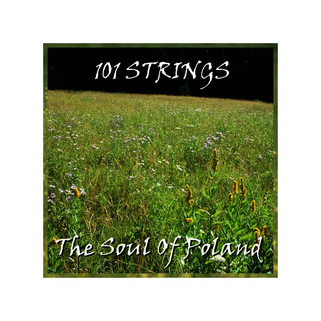 The Soul Of Poland