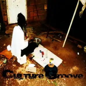 Culture Groove Vol 1 Platinum Edition