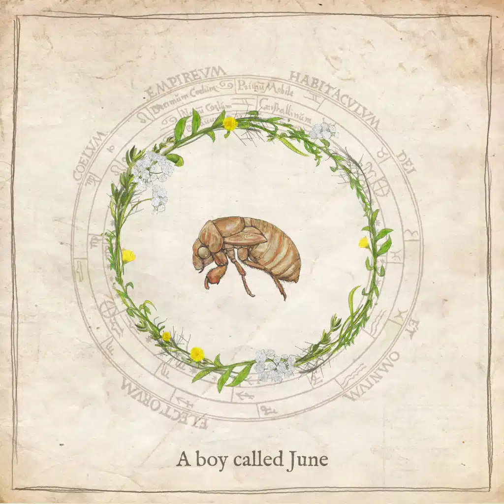 A Boy Called June