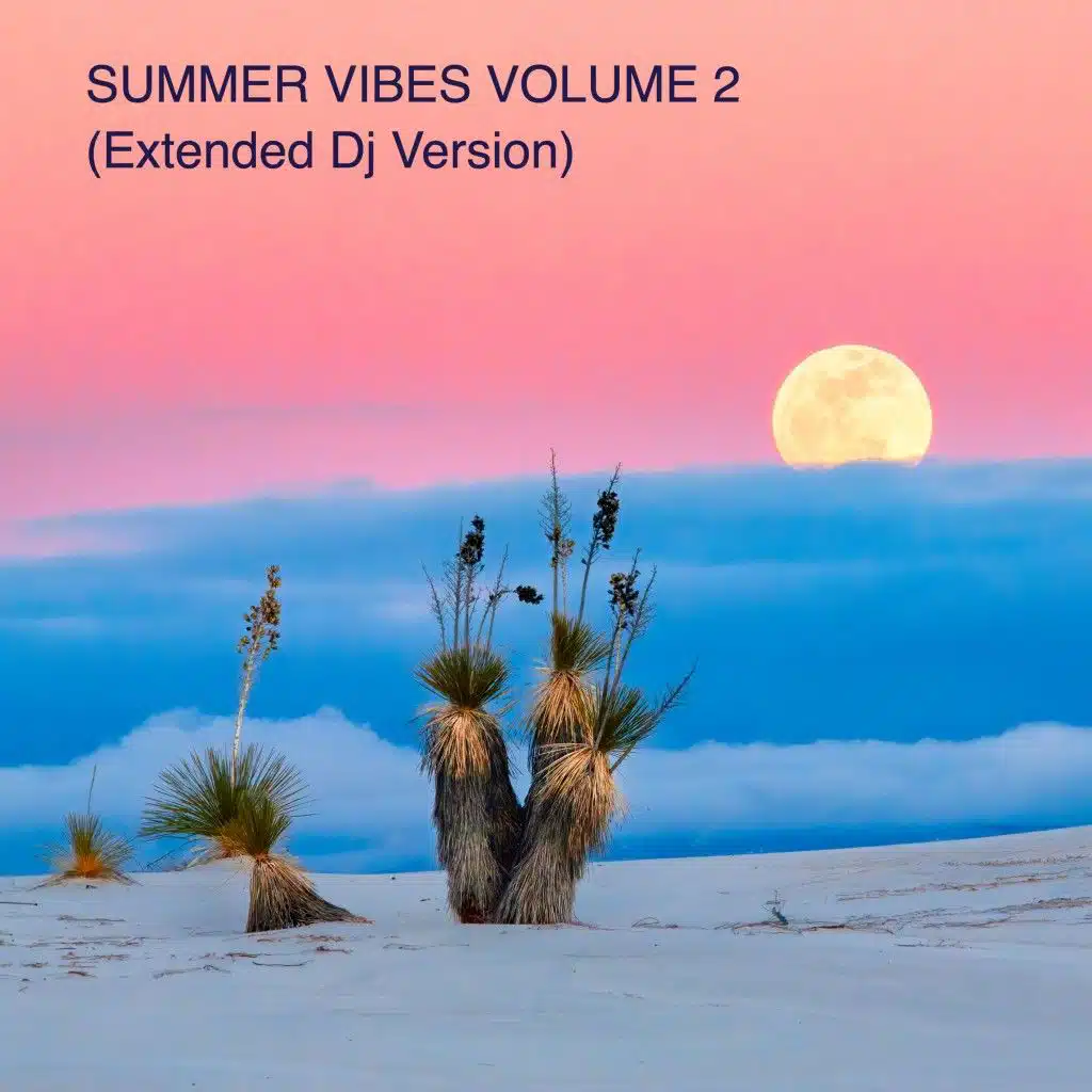 Summer Vibes, Vol. 2 (Extended DJ Version)