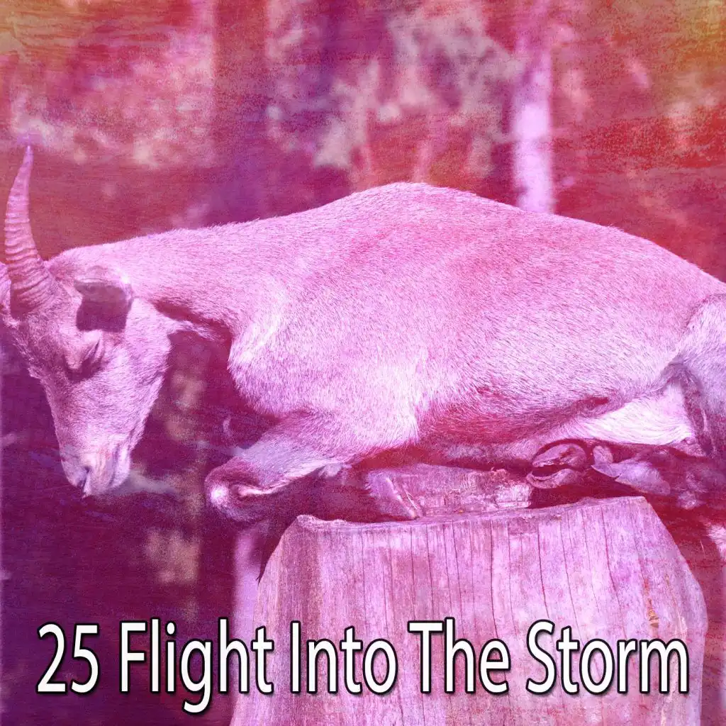 25 Flight into the Storm