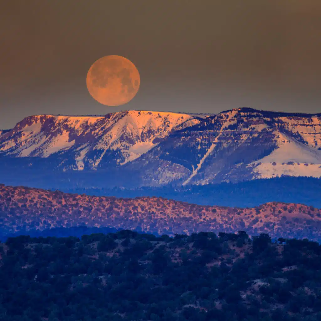 Music for Relaxing and Tranquil Moments