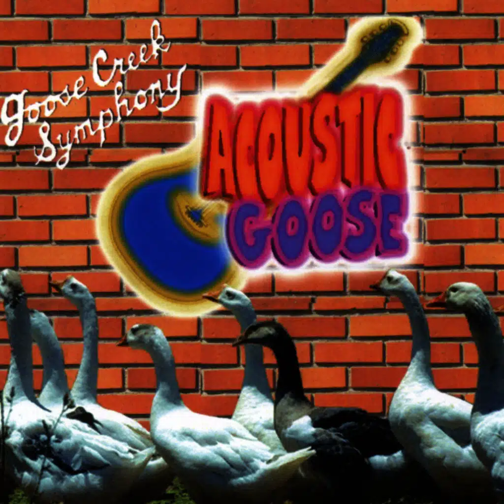 Acoustic Goose