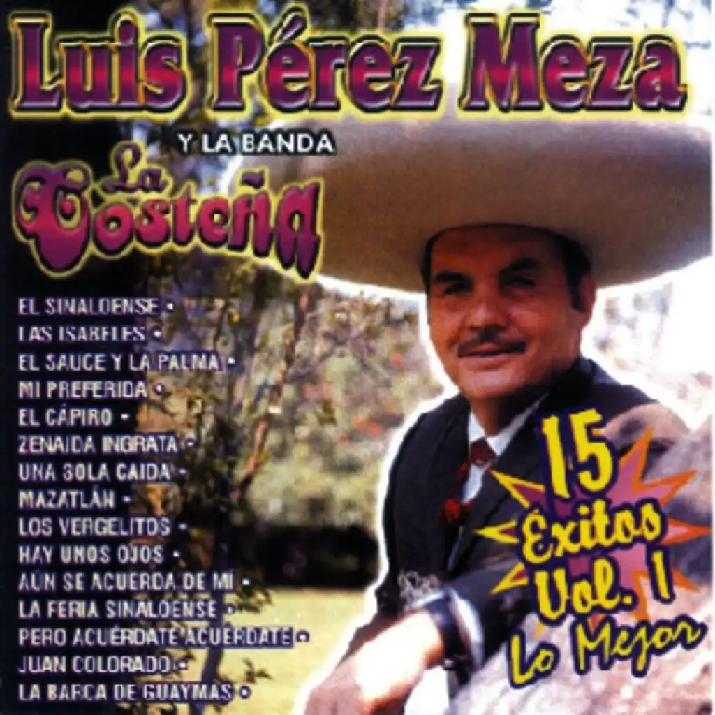 Luis Pérez Meza Y La Banda La Costeña - 15 Éxitos Vol. 1 - Lo Mejor