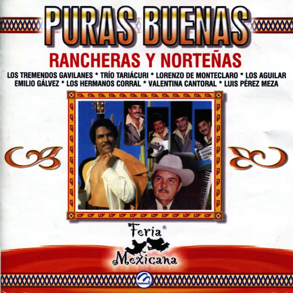 Puras Buenas: Rancheras y Norteñas