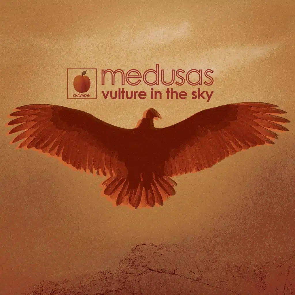 Vulture in the Sky