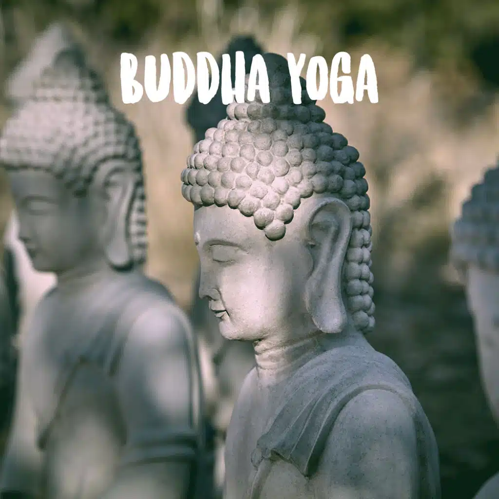Zen Meditate, Zen & Spa and Yoga Workout Music