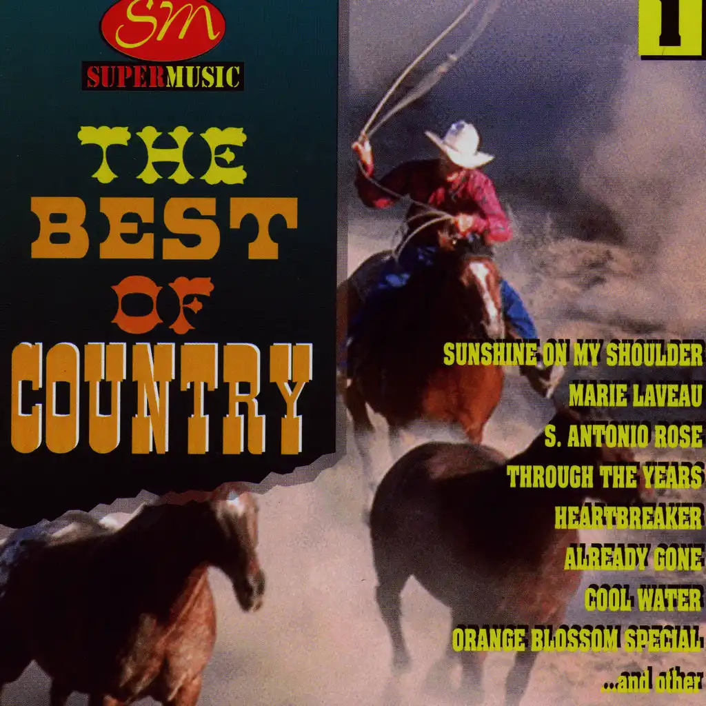 The Best Of Country Vol 1