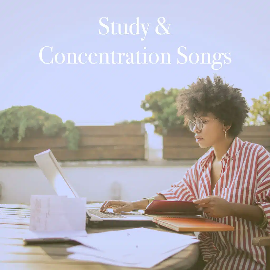 Study & Concentration Songs
