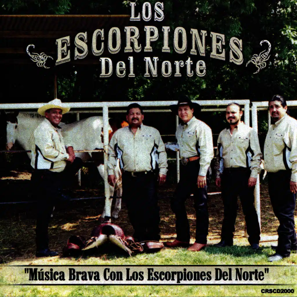 Música Brava Con los Escorpiones del Norte