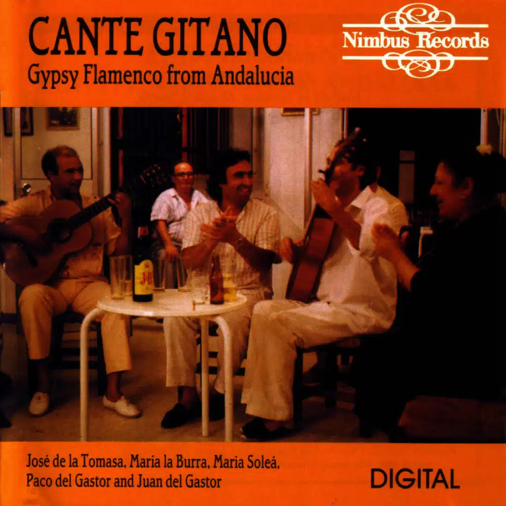 Cante Gitano - Gypsy Flamenco Recorded Live In Andalucia