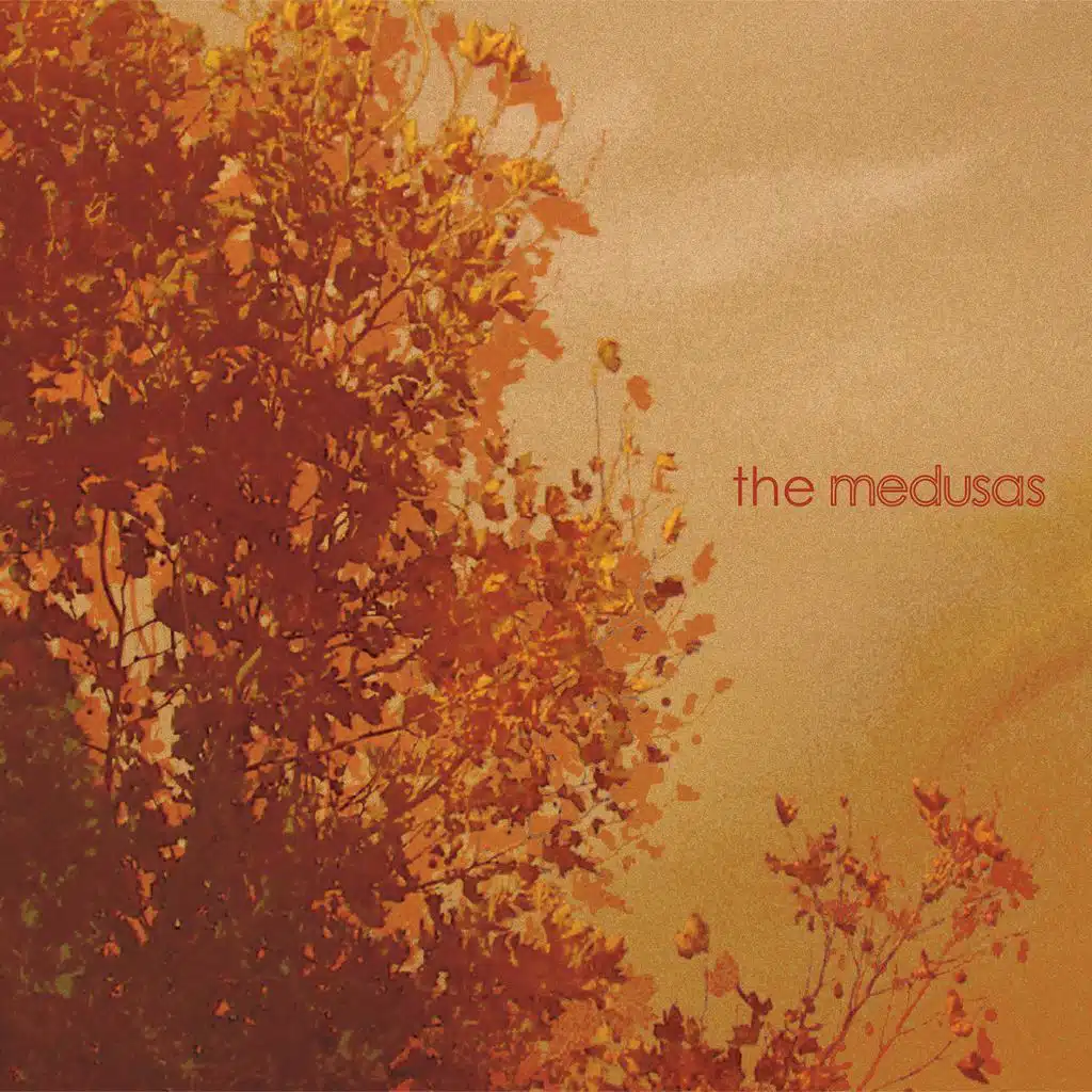 The Medusas