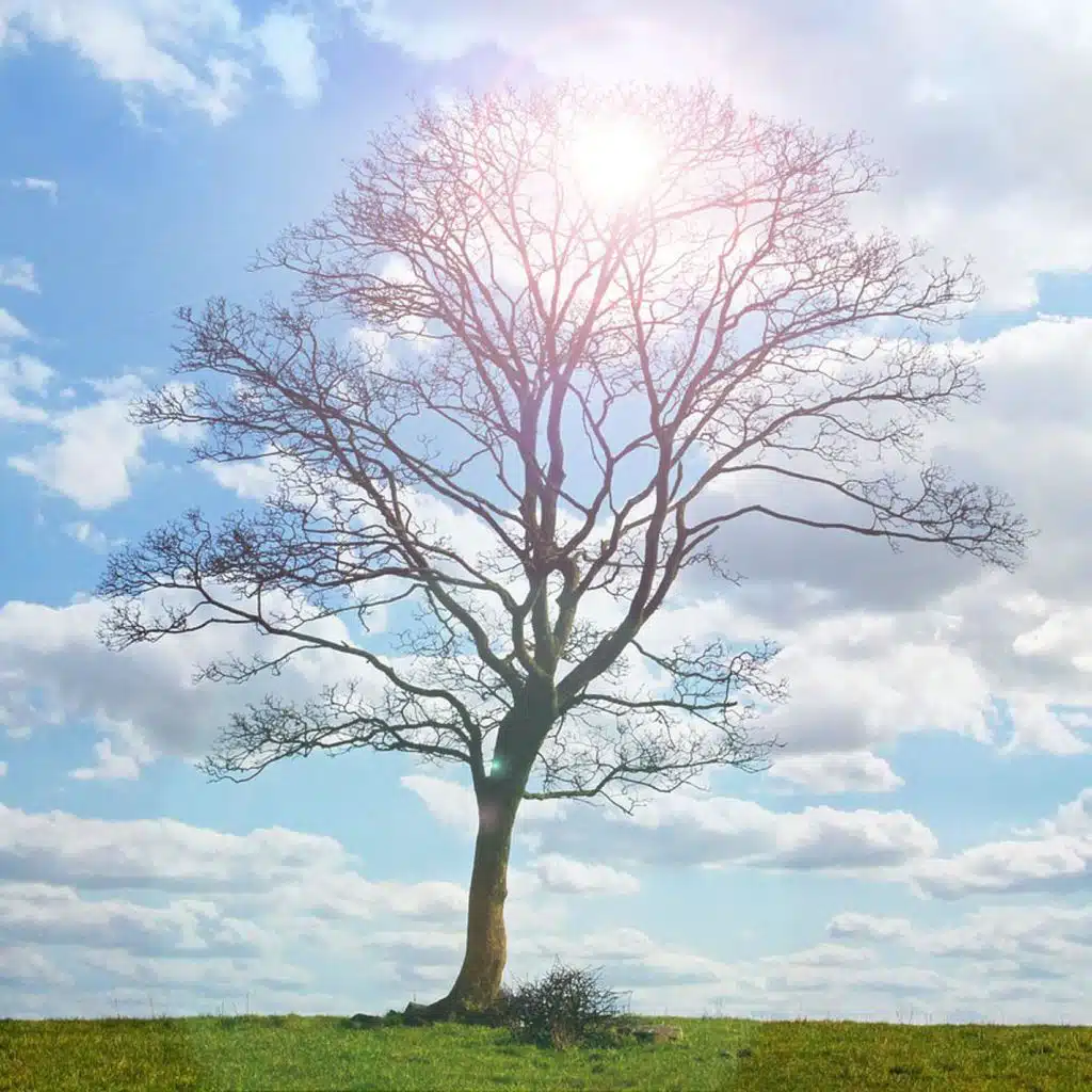 As If Everything Stopped Existing