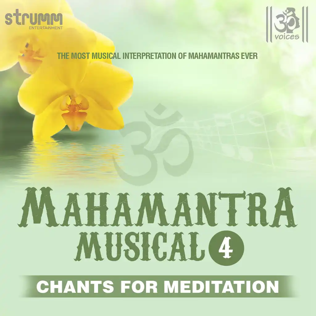 Mahamantra Musical, Vol. 4