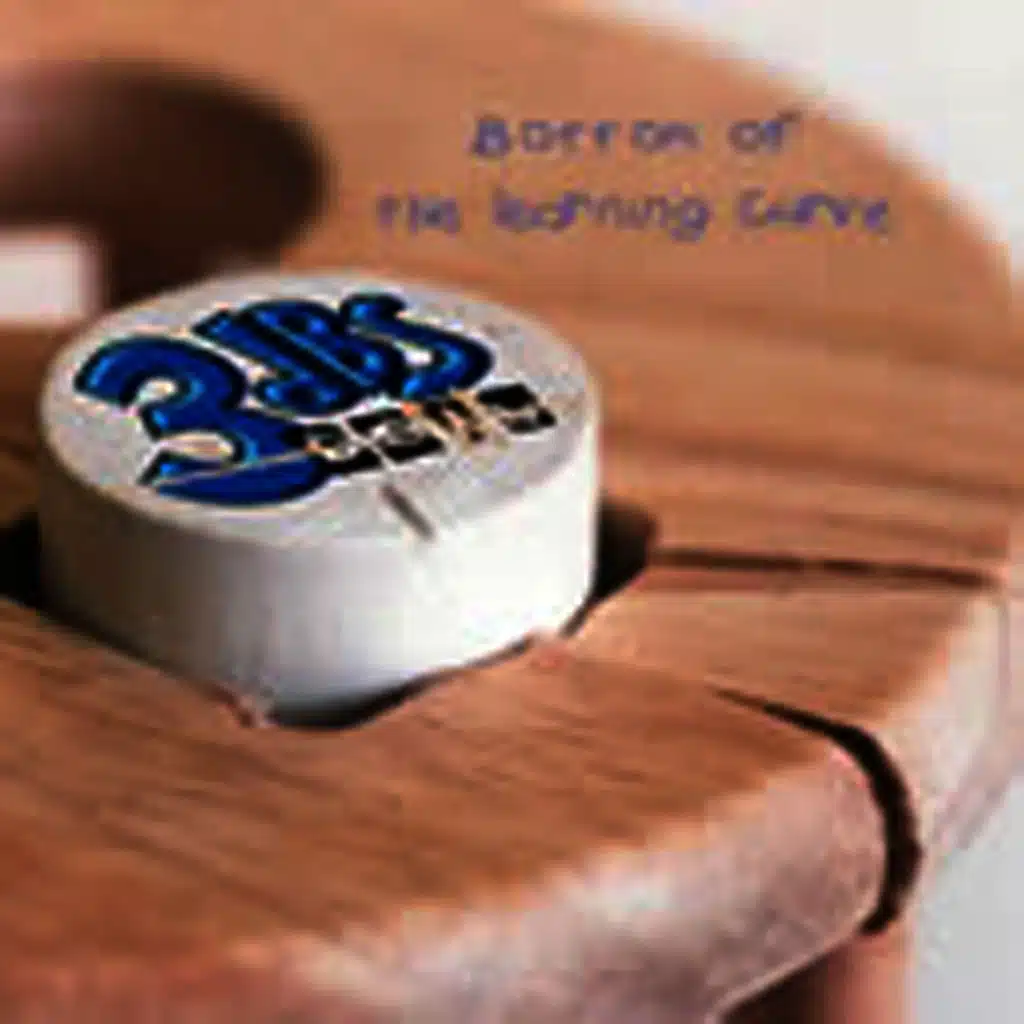 Bottom of the Learning Curve