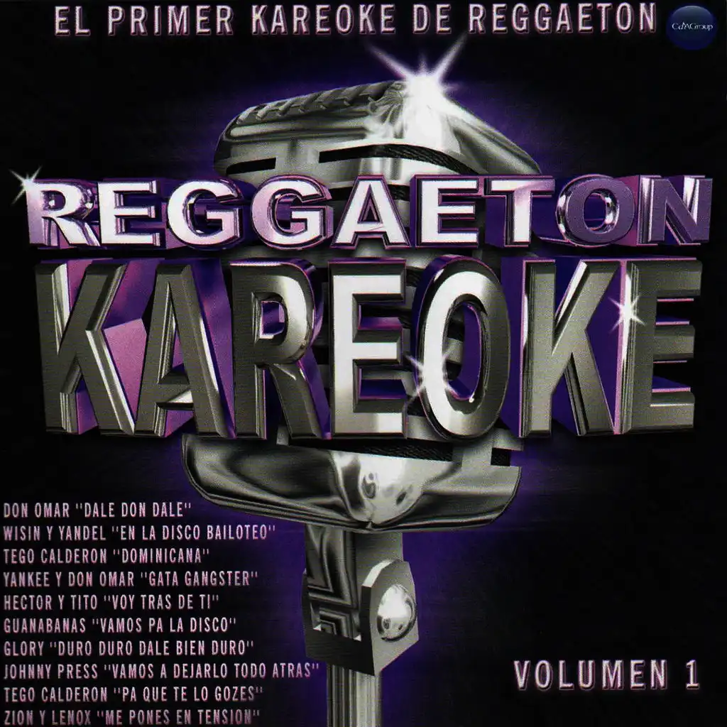 Reggaeton Karaoke Volume 1
